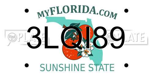 3LQI89 Florida License Plate