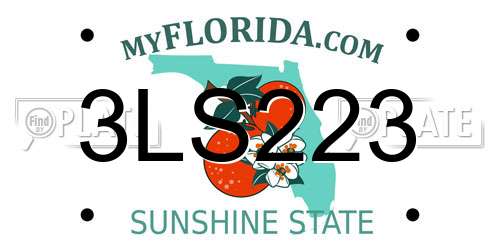 3LS223 Florida License Plate