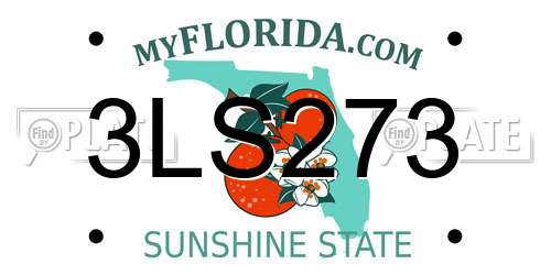 3LS273 Florida License Plate