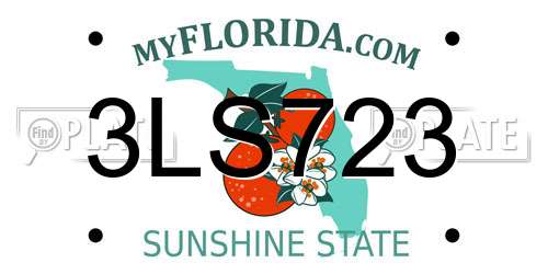 3LS723 Florida License Plate