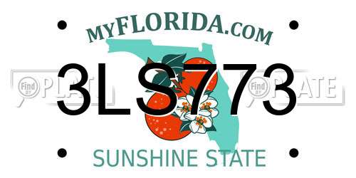 3LS773 Florida License Plate