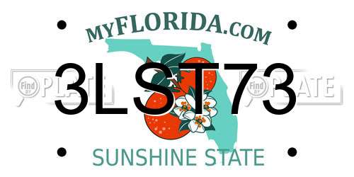 3LST73 Florida License Plate