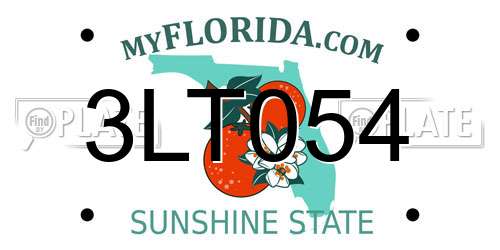 3LT054 Florida License Plate