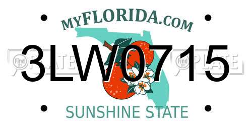 3LW0715 Florida License Plate