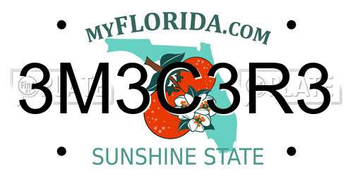 3M3C3R3 Florida License Plate