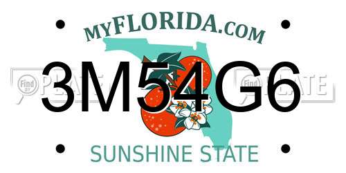 3M54G6 Florida License Plate
