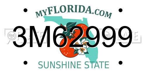 3M62999 Florida License Plate