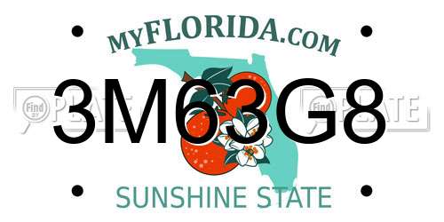 3M63G8 Florida License Plate