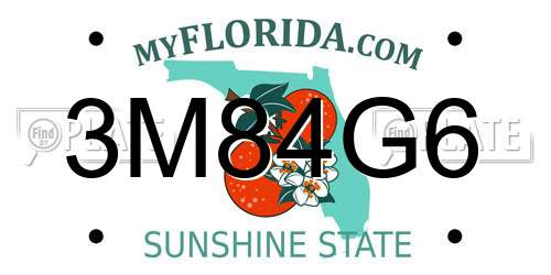 3M84G6 Florida License Plate