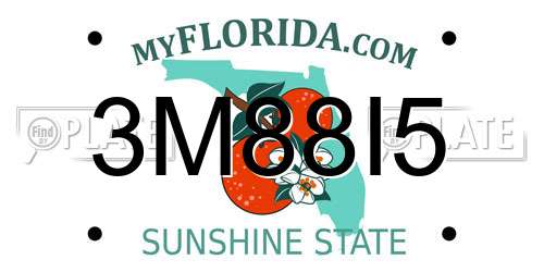 3M88I5 Florida License Plate