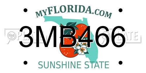 3MB466 Florida License Plate