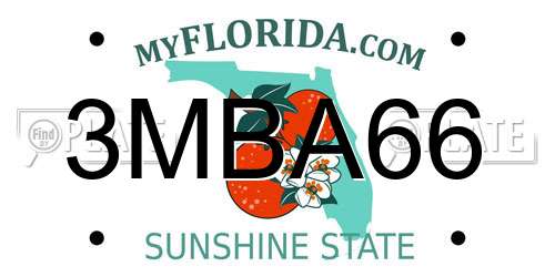 3MBA66 Florida License Plate