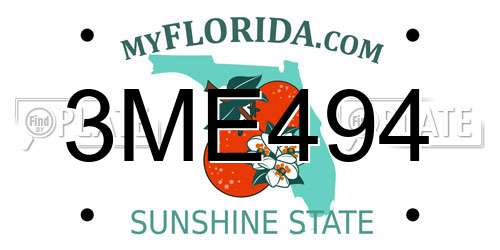 3ME494 Florida License Plate