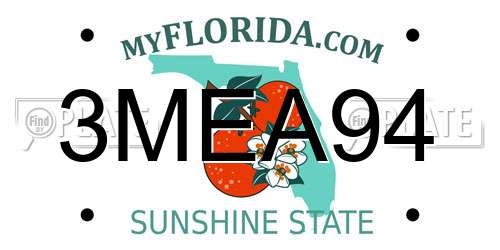 3MEA94 Florida License Plate