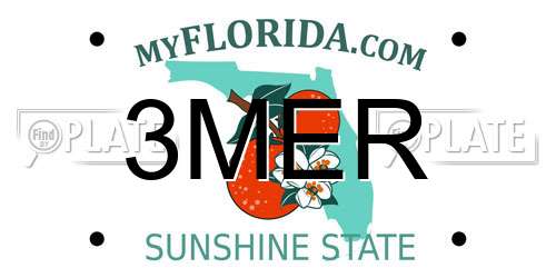 3MER Florida License Plate