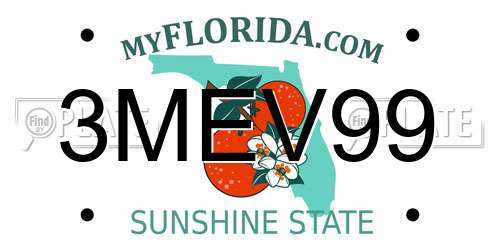 3MEV99 Florida License Plate