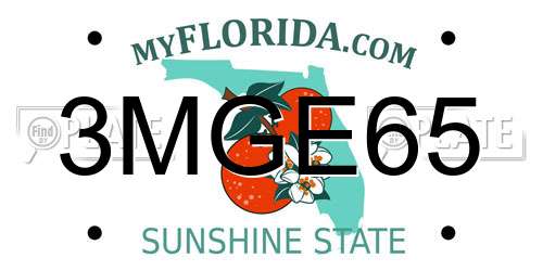 3MGE65 Florida License Plate