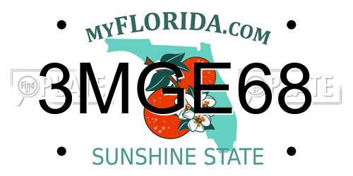 3MGE68 Florida License Plate