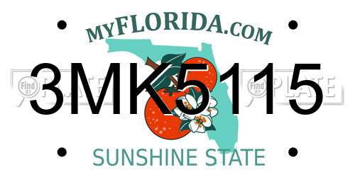 3MK5115 Florida License Plate