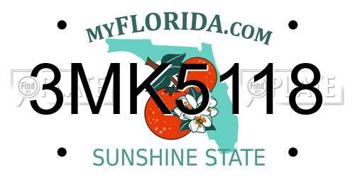 3MK5118 Florida License Plate