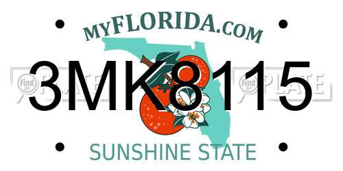 3MK8115 Florida License Plate