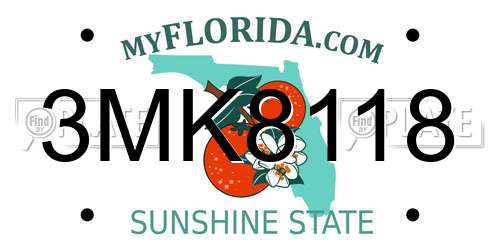 3MK8118 Florida License Plate