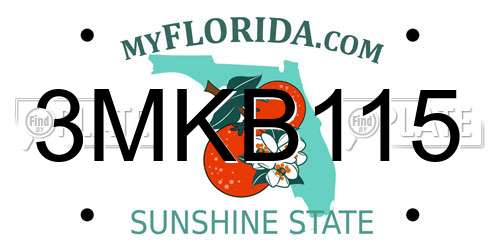 3MKB115 Florida License Plate
