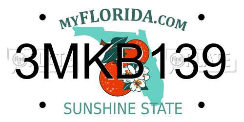 3MKB139 Florida License Plate