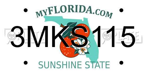 3MKS115 Florida License Plate