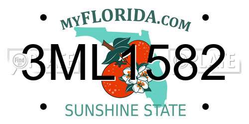3ML1582 Florida License Plate