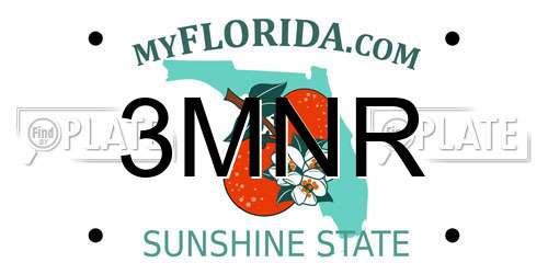 3MNR Florida License Plate
