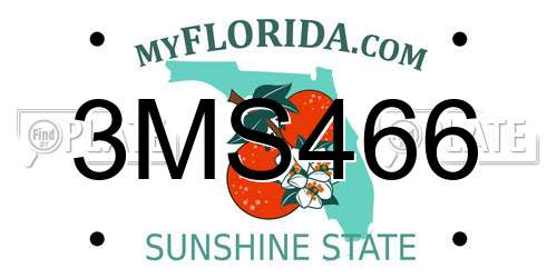3MS466 Florida License Plate