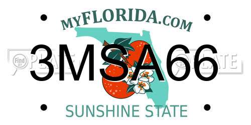 3MSA66 Florida License Plate