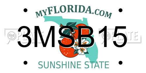 3MSB15 Florida License Plate