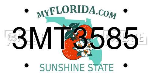 3MT3585 Florida License Plate