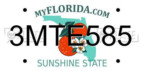 3MTE585 Florida License Plate