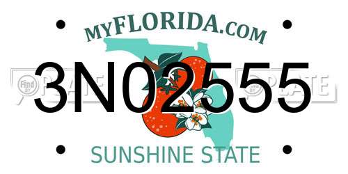 3N02555 Florida License Plate