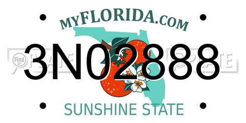 3N02888 Florida License Plate