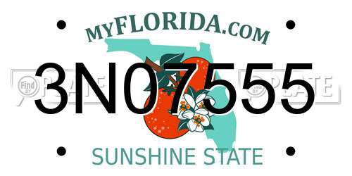 3N07555 Florida License Plate