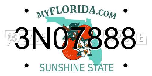 3N07888 Florida License Plate