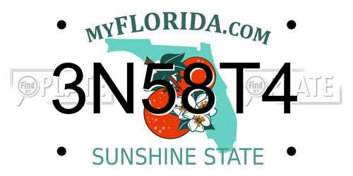 3N58T4 Florida License Plate