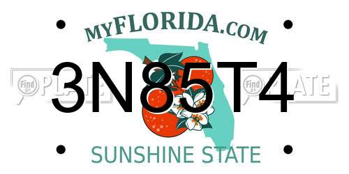 3N85T4 Florida License Plate