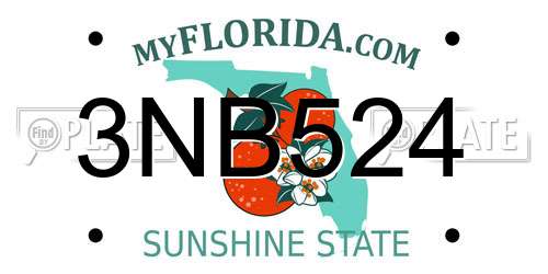 3NB524 Florida License Plate