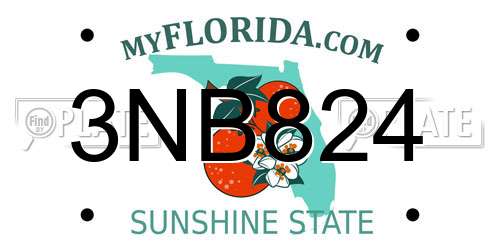 3NB824 Florida License Plate