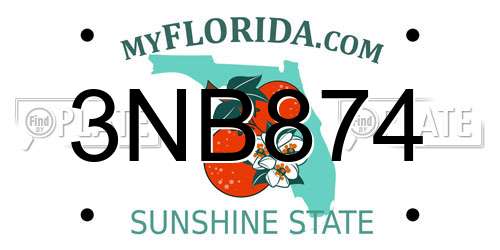 3NB874 Florida License Plate