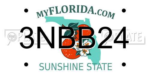 3NBB24 Florida License Plate