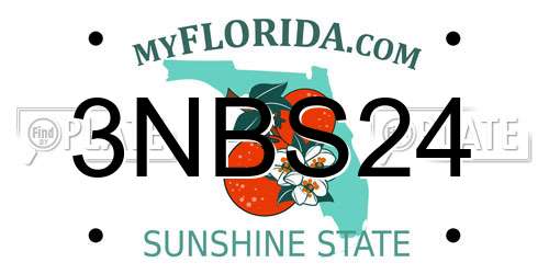 3NBS24 Florida License Plate
