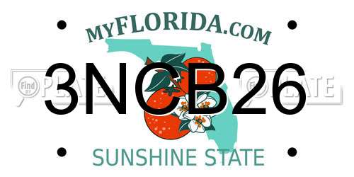 3NCB26 Florida License Plate