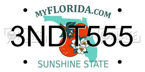 3NDT555 Florida License Plate