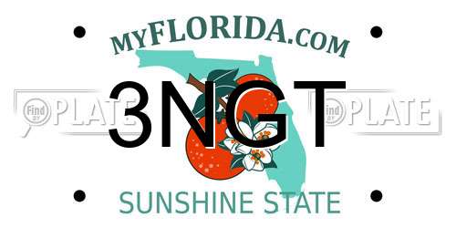 3NGT Florida License Plate